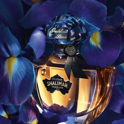 guerlain shalimar millesime vanilla|shalimar iris guerlain.